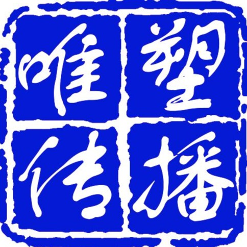 WEISU MEDIA