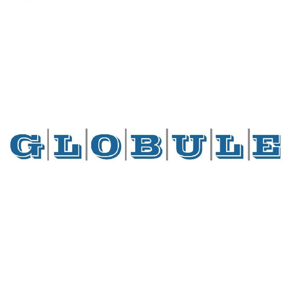 GLOBULE SANITARY CONVEYOR PTY LTD